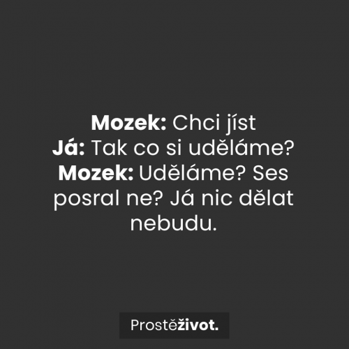  Mozek 