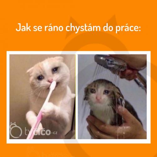  Práce 