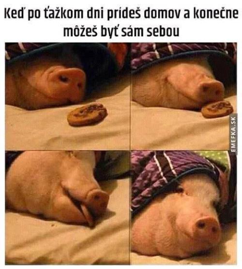 Koenčně