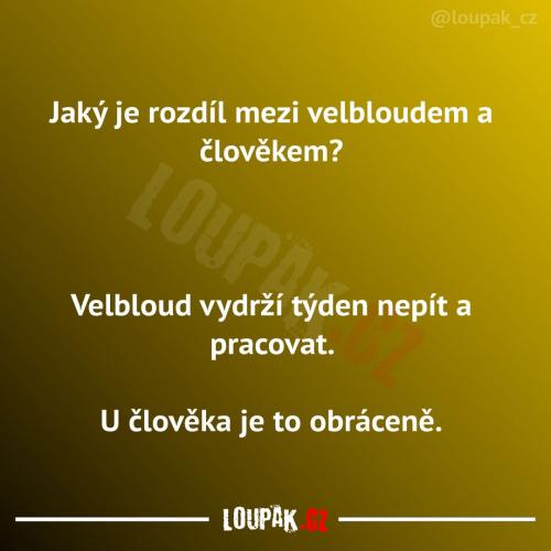  Tohle je zajímavý rozdíl 