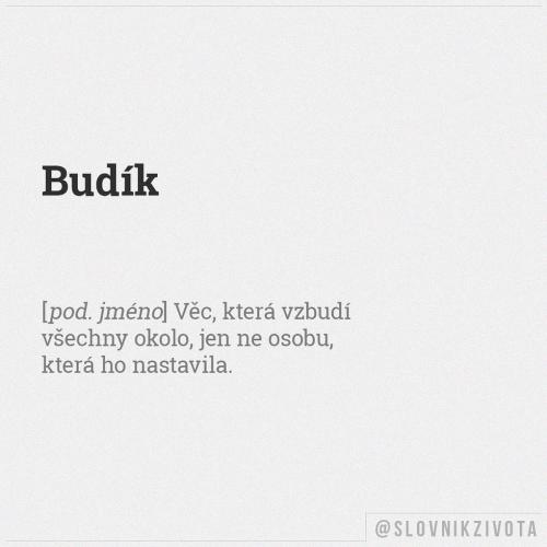  Budík 