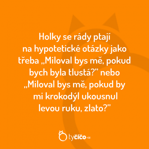  Holky 