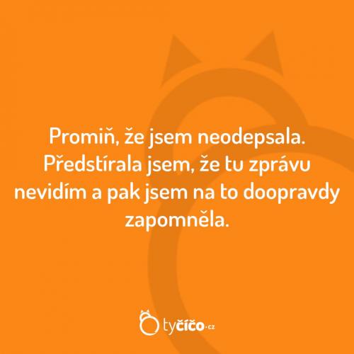  Zpráva 