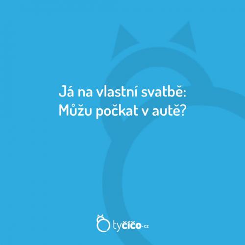  Svatba 