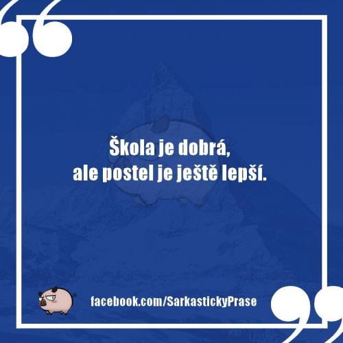  Škola 