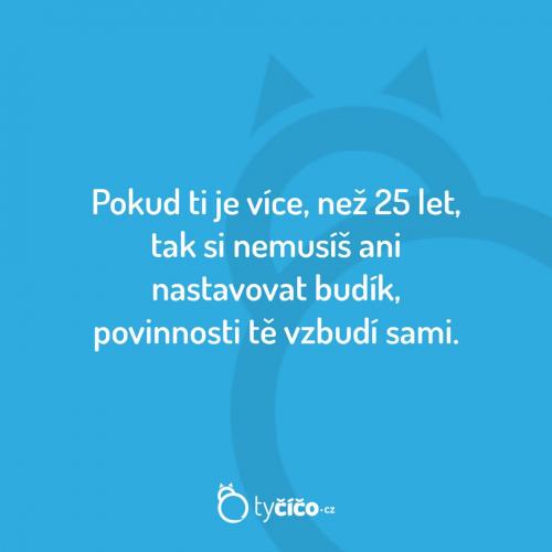 Budíky