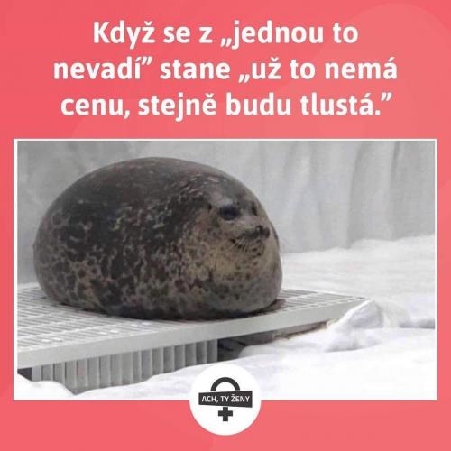  Už to nemá cenu 