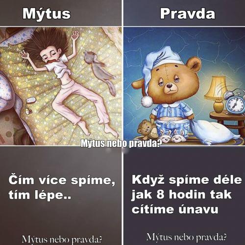  Pravda 