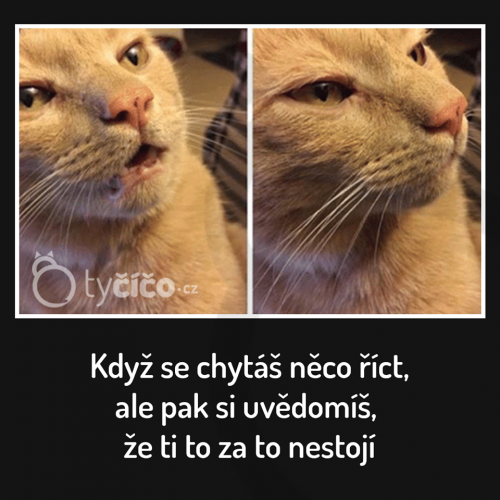  Když se chystáš 