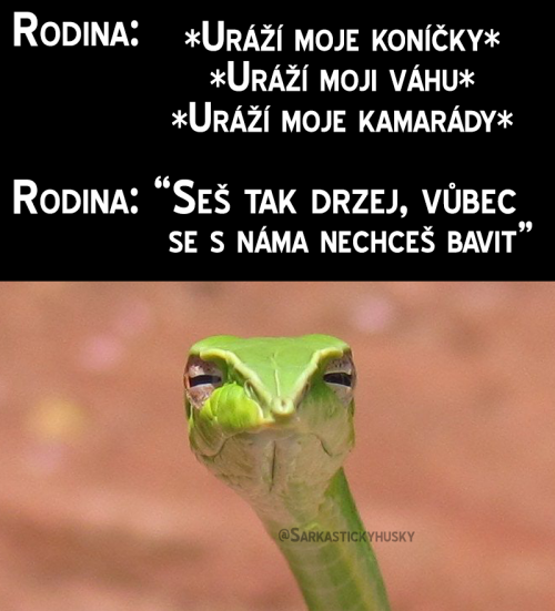  Vážně 