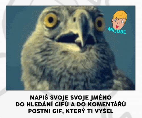  Napiš svoje jméno 