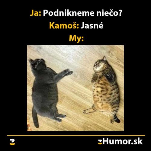  Podnikneme něco 