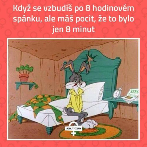  Spánek 