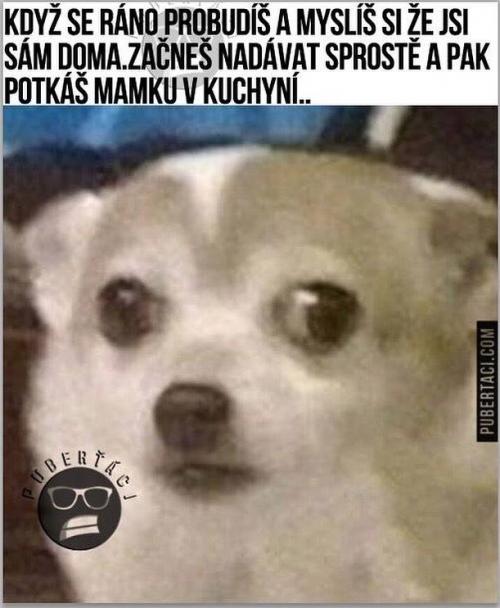 Upps