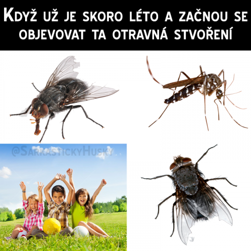  Už se to blíží 