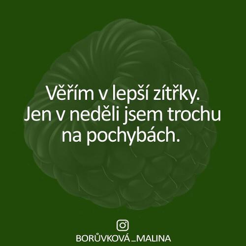 Pochyby