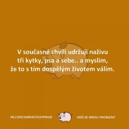 Naživu