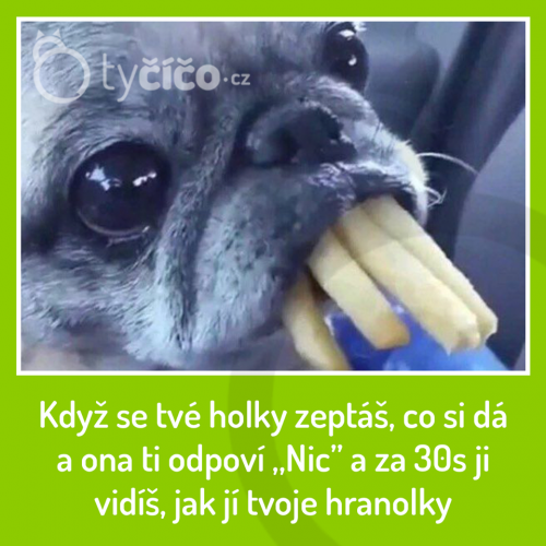 Co si dáš