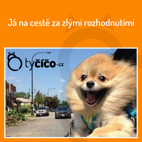  Rozhodnutí 