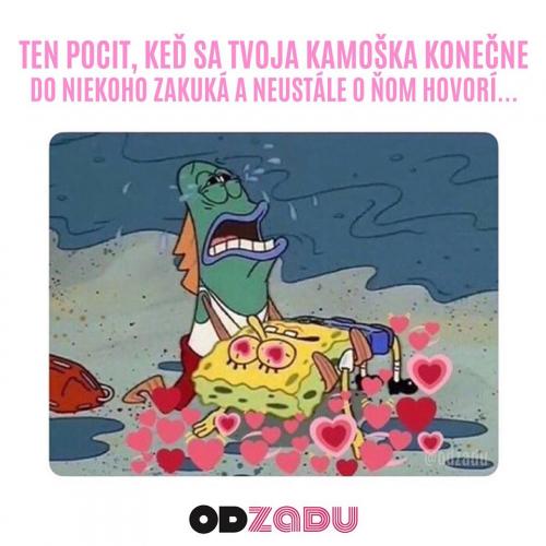 Tvoje kámoška