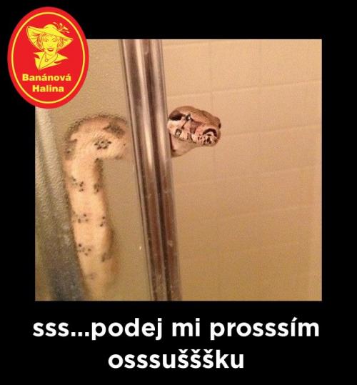 Osssuškaa