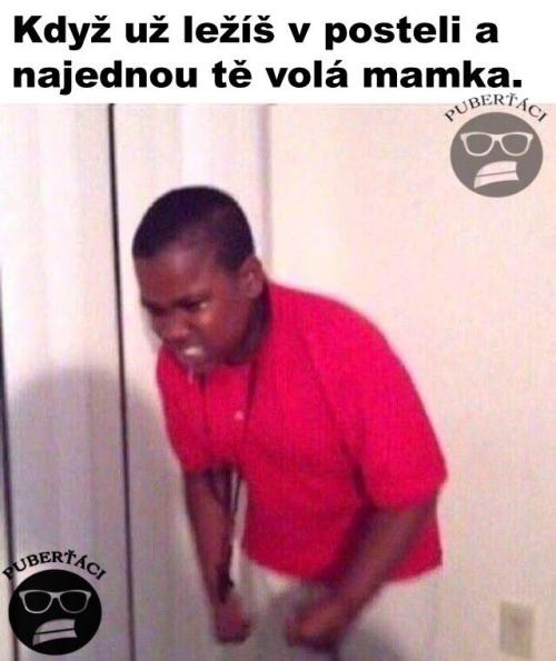  Mamka 