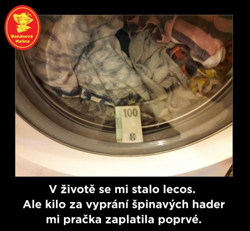 Lecos