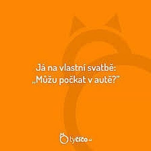  Svatba 