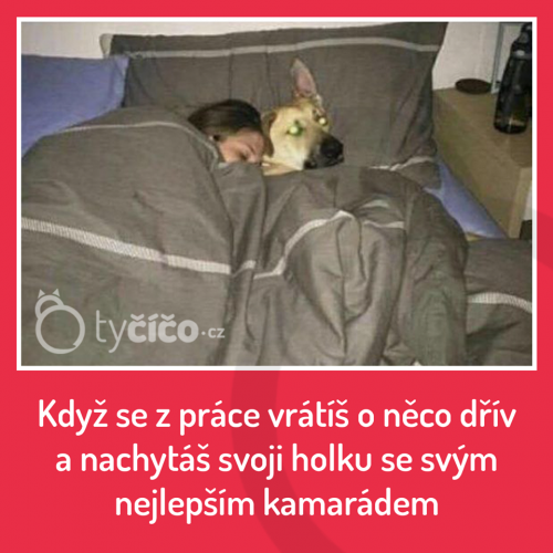  Práce 