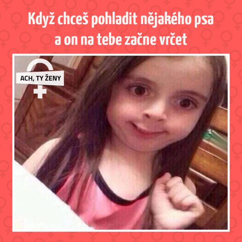  Když to chceš 