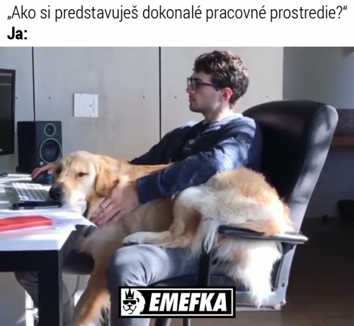  Práce 