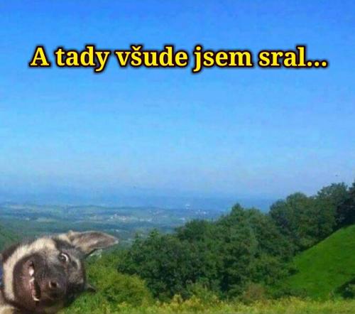 Sral
