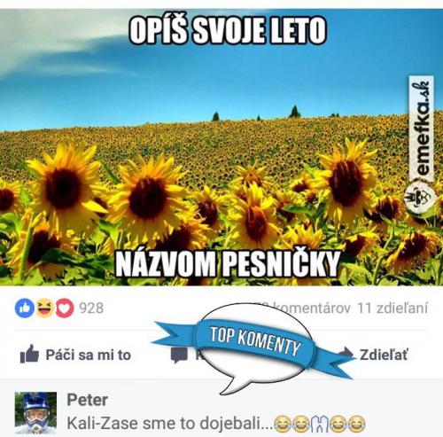  Popiš svoje léto 