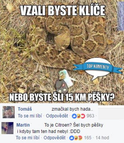 Vzal by jsi je