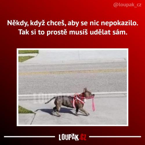  Práce 