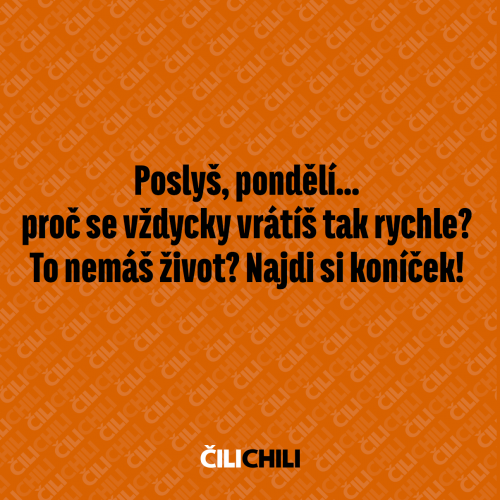  Pondělí 