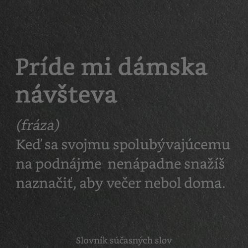  Návštěva 