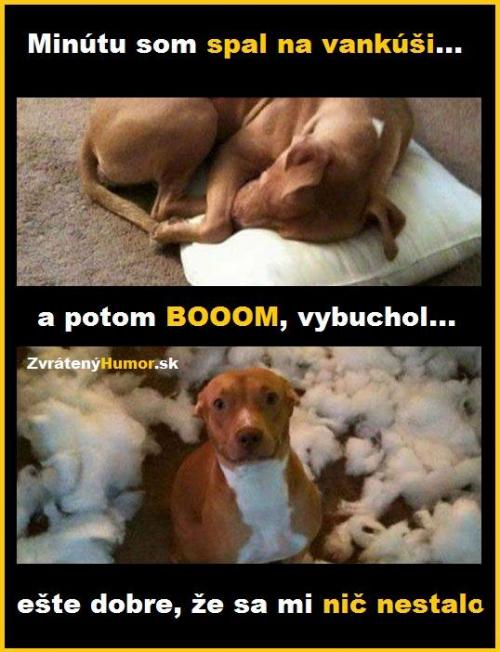 Vybouchjl