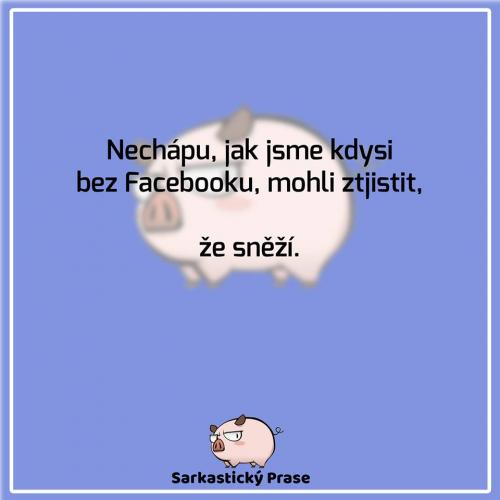Faceebook zjistil