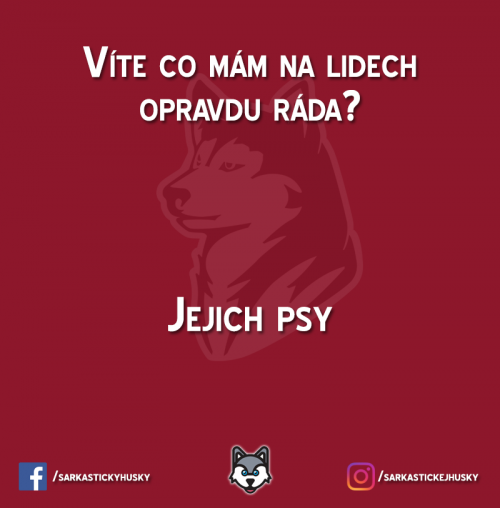  Jakého psa máte nejradši 