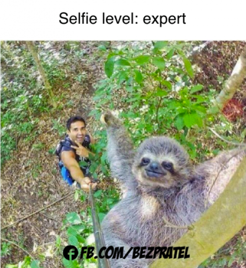  Selfie 
