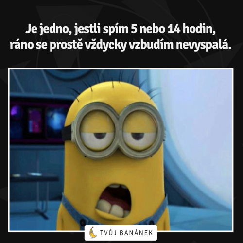 Nevyspalá