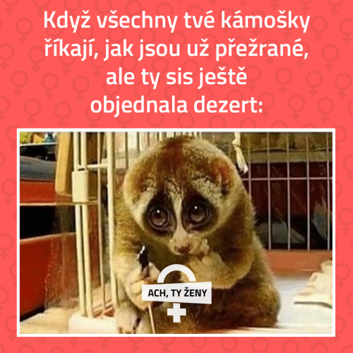  Ještě je hlad 