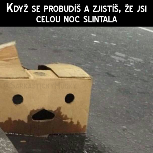 Přiznejte se
