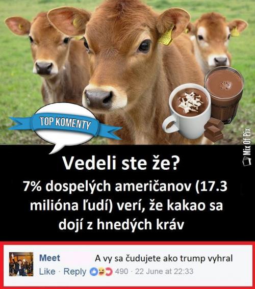  Věděl jste že 