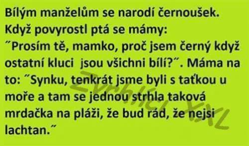 Bilým manželům