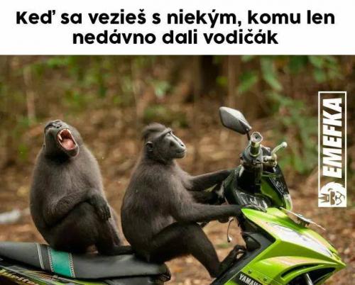 Vodičák