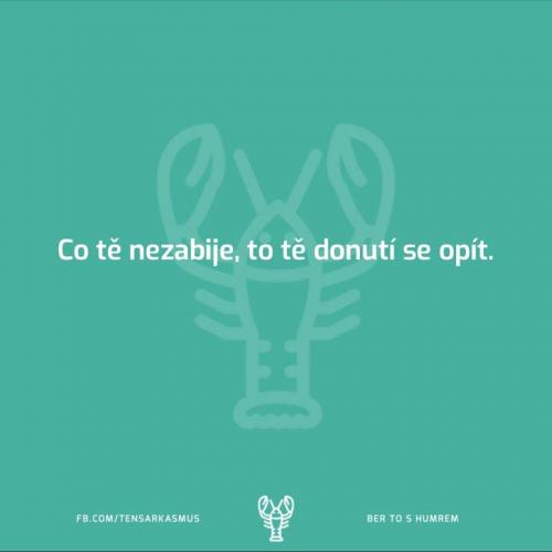 Co tě nezabije, to tě