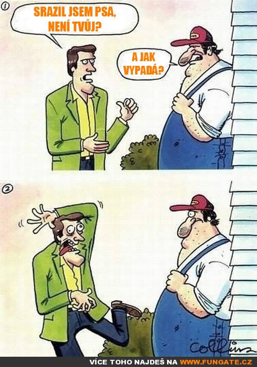  Jak vypadá 