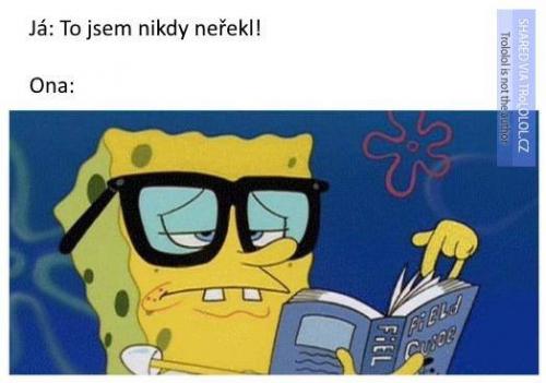  To jsem nikdy neřekl 